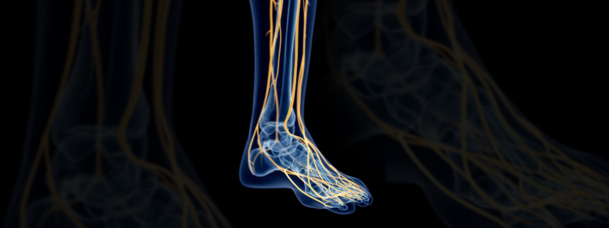 Nerve Surgery | FASO Nerve Surgery | FASO