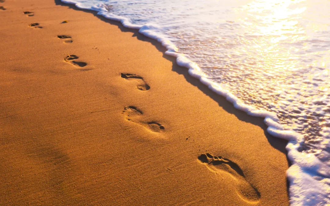 Total Ankle Replacement: A New Lease on Life
